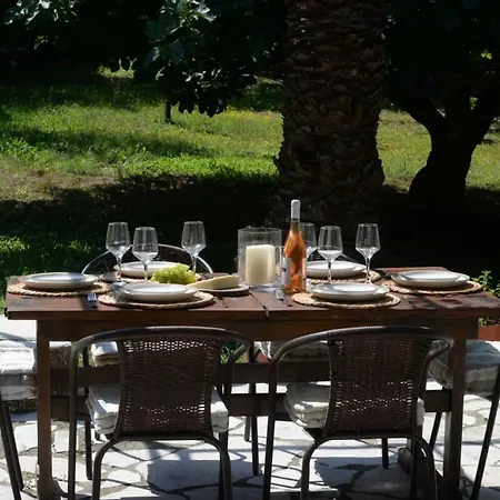 The Olive Grove House 펜션 카시오피