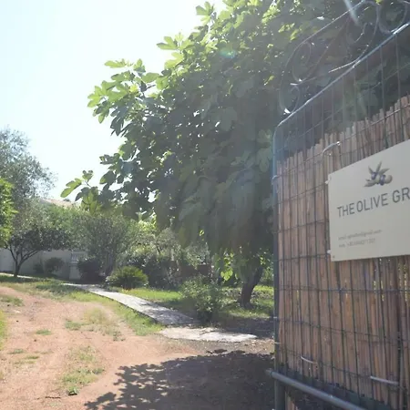 The Olive Grove House Feriehus