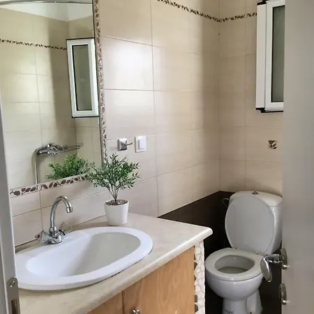 The Olive Grove House カシオピ