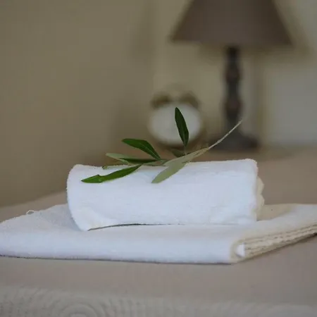 別荘 The Olive Grove House *