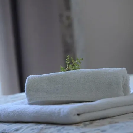 別荘 The Olive Grove House