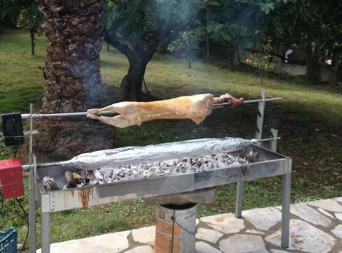 The Olive Grove House بيت للعطل *