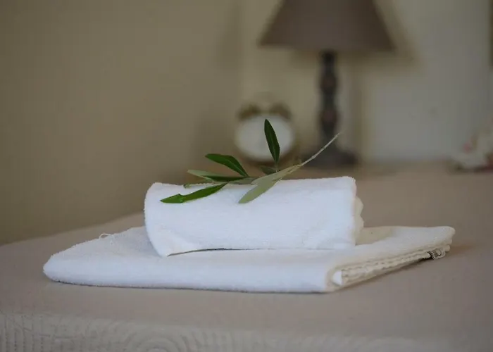 بيت للعطل The Olive Grove House *