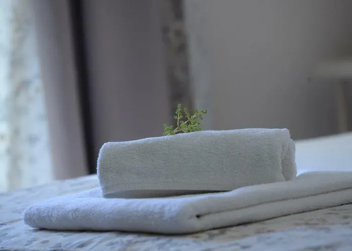 بيت للعطل The Olive Grove House