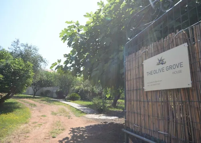 The Olive Grove House Prázdninový dům
